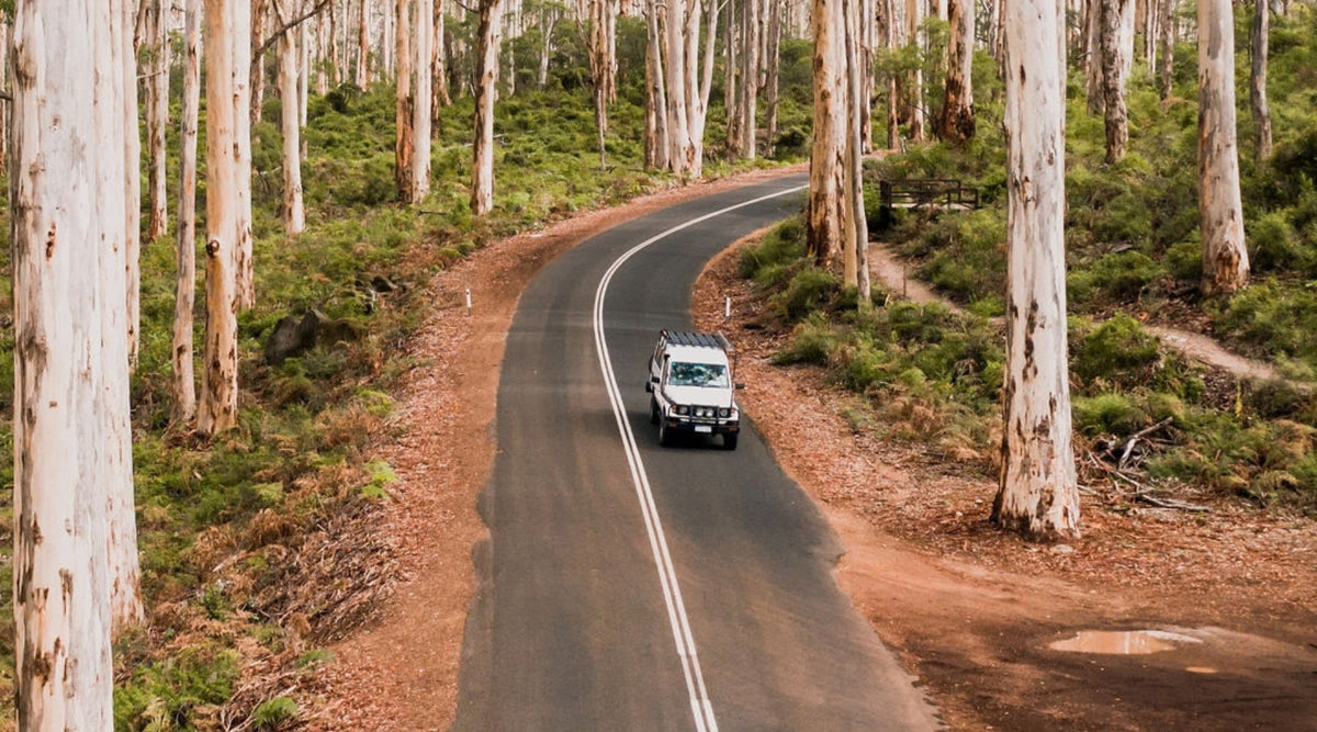 The Busselton to Margaret River Road Trip Hitlist