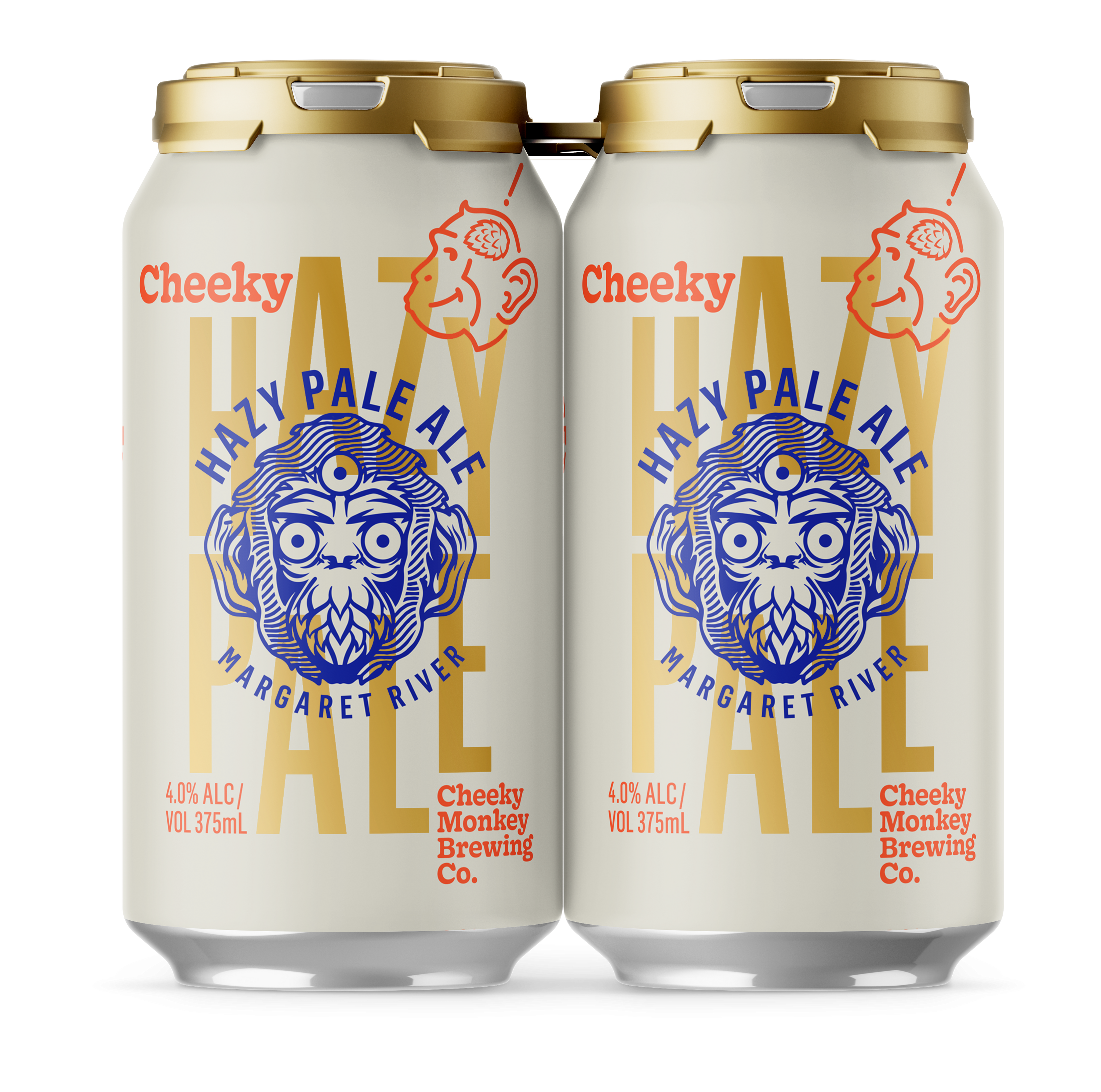 Party Starter Pack  - 2 Cubes